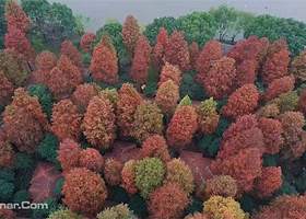 大千天鹅湖露营地