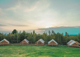 柳岸花鸣德清露营地