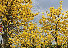 开心联合国生态农场露营地