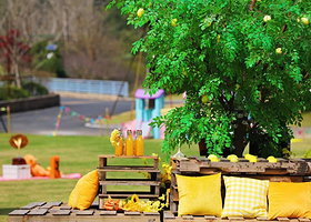 遇见杉谷露营基地(黄岩九溪店)