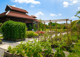 奶奶的泰式烹饪学校