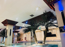 海悦温泉酒店(彦成鲤店)