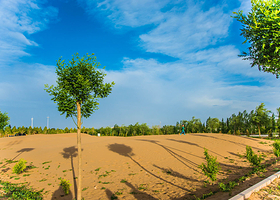 敦煌自驾车营地