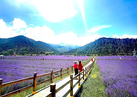 薰衣草生态园