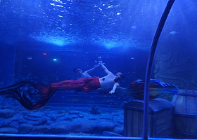 西宁海昌海洋探索馆