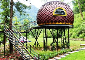 金佛山星空露营营地