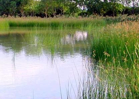 米埔野生动物保护区