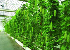 北生绿色产业科技园