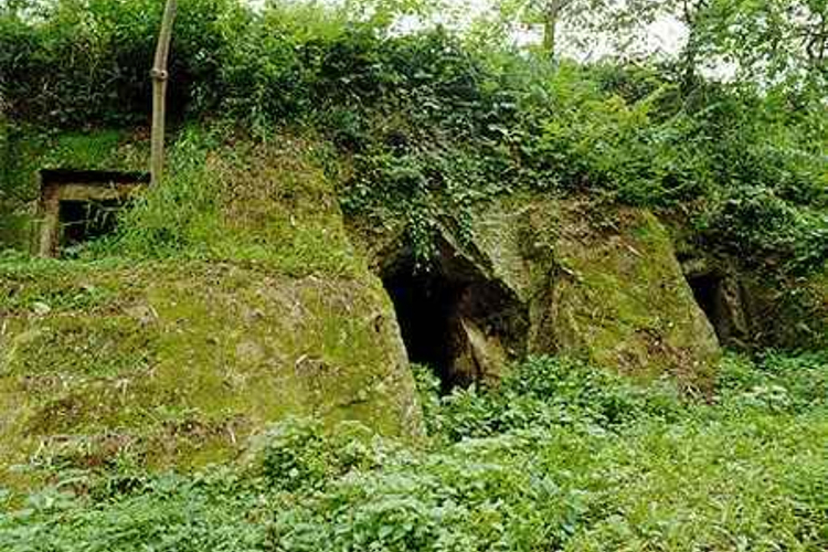 涂井汉墓群旅游