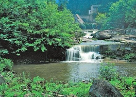 中国侏罗纪硅谷