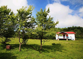 三黄谷森林公园