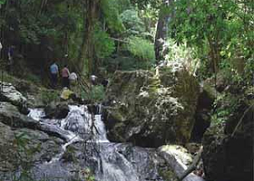 丰溪森林度假区