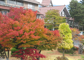 河口湖枫叶回廊