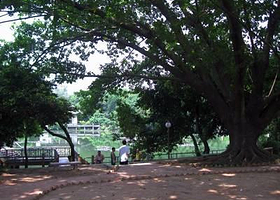 茂名江滨公园