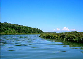 英罗红树林保护区