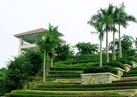 万顷沙原野庄园