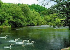 港北自然保护区