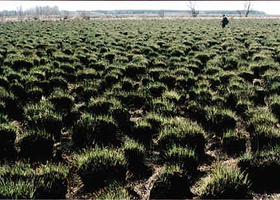 红星自然保护区