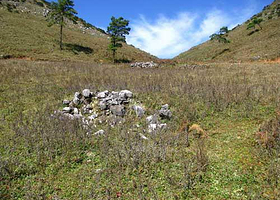 梅树村自然保护区