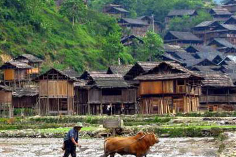 小黄侗寨旅游