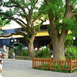 普济寺