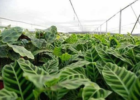 农业科技示范园