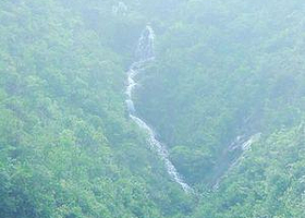 叫水坑原始森林