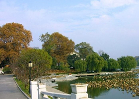 玛纳斯县北公园