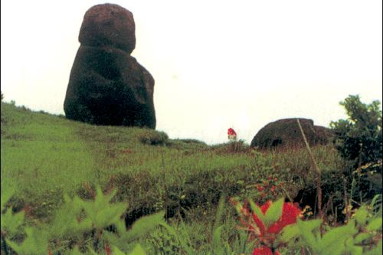 如来打坐旅游