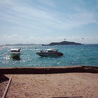 金沙岛