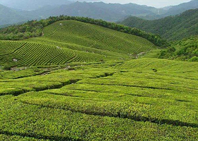 三道门森林公园