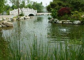 江原道立花木园