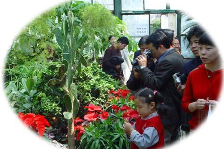 热带亚热带植物展览温室旅游