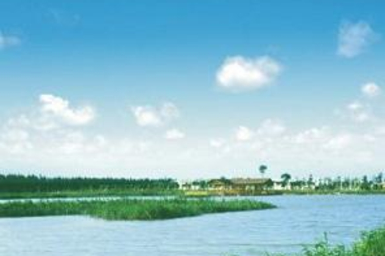 金色年华景区旅游