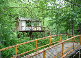 长白山生态植物园