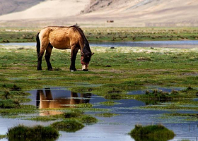 东久自然保护区