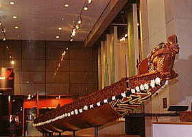 新西兰国立博物馆