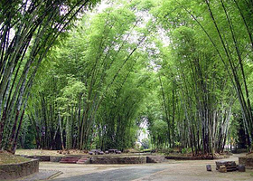 勐巴娜西大花园