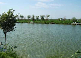 六十户乡生态渔村