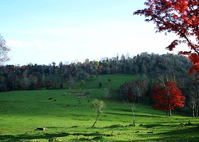 花山国家森林公园