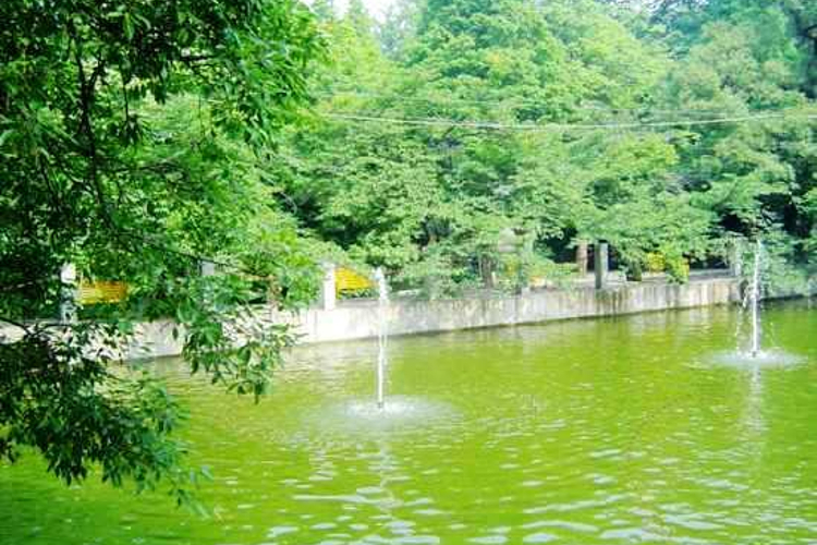 报晓峰景区旅游