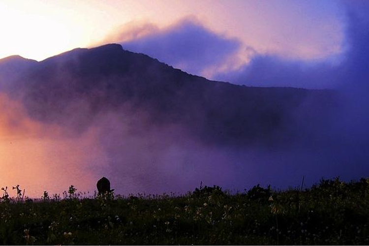 大同野生动植物游乐观光园旅游