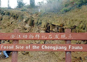 澄江动物化石群
