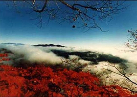 老秃顶自然保护区