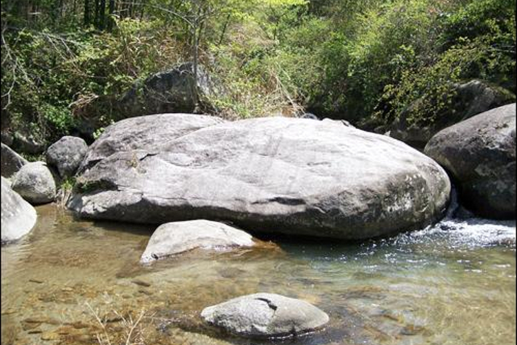 听法海龟旅游