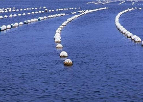 洲子湾海水浴场