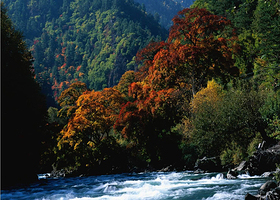 秋林河谷