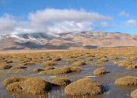 申扎自然保护区