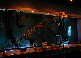 恐龙陈列厅