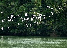 金山屯大森林探险漂流